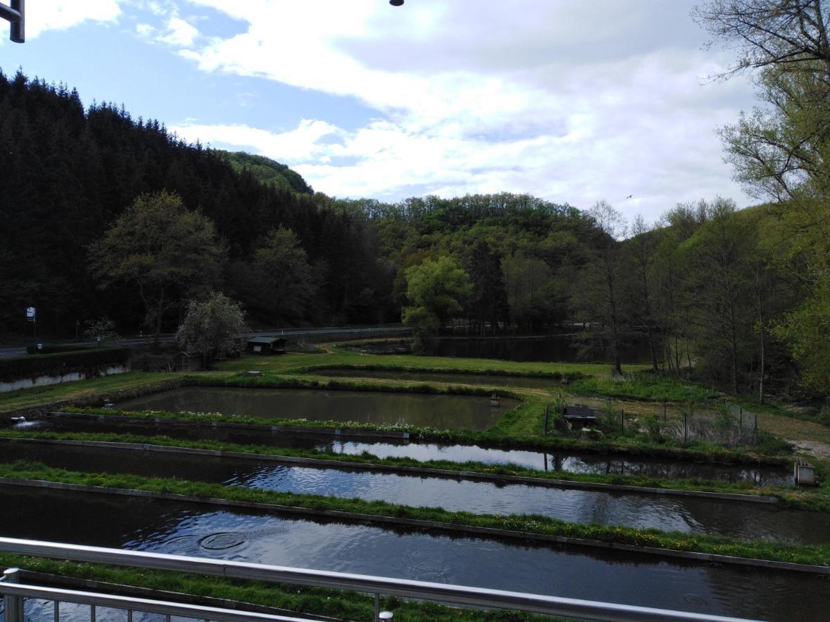 Zimmer Ohne Fruehstueck In Der Forellenzucht Burgen  Exterior foto
