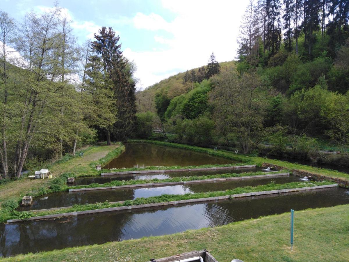 Zimmer Ohne Fruehstueck In Der Forellenzucht Burgen  Exterior foto